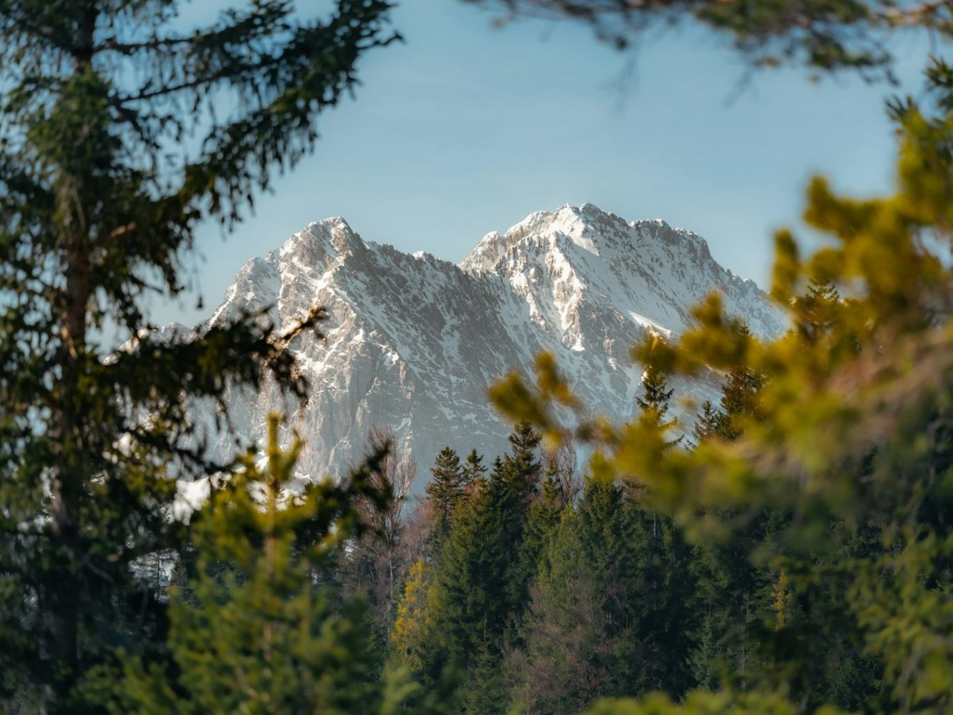 Bayerisches Ampiente in ruhiger Lage und blühendem Garten.